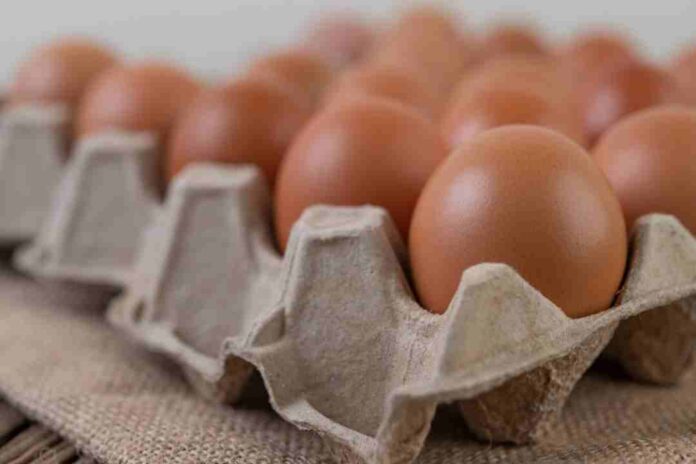 Alza en el precio de los huevos: estas son las opciones ricas en aminoácidos que se pueden usar en su reemplazo