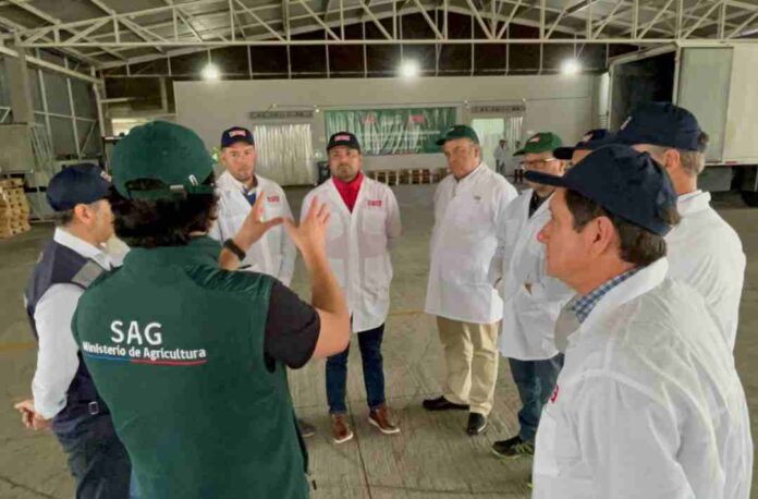 Autoridades de Coquimbo visitaron  Sitio de Inspección de Fruta en Cabrero para replicar modelo de construcción