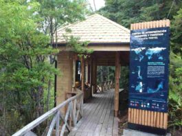 Aysén impulsa red de Centros de Interpretación Ambiental para un turismo con base científica