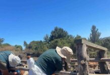 CONADI y SAG Biobío firman convenio de colaboración para muestreo de brucelosis bovina