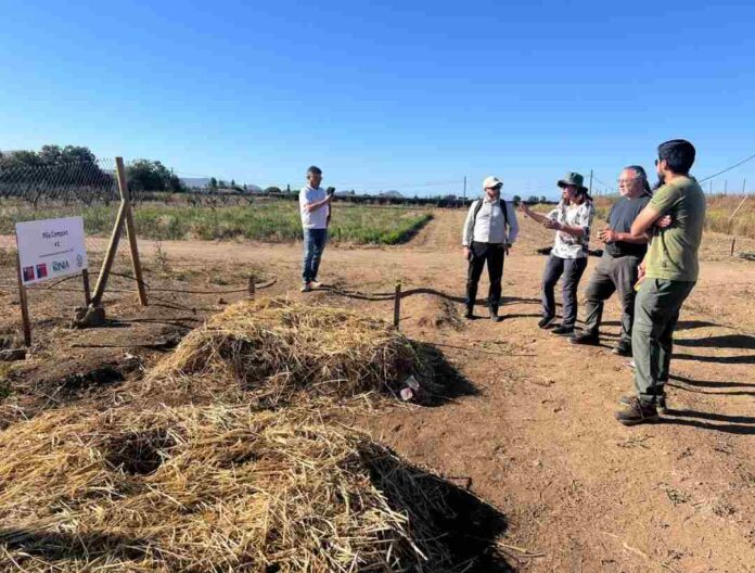 Científicos chilenos buscan convertir residuos salmoneros en fertilizante seguro, inocuo y de bajo costo para plantas Científicos chilenos buscan convertir residuos salmoneros en fertilizante seguro, inocuo y de bajo costo para plantas
