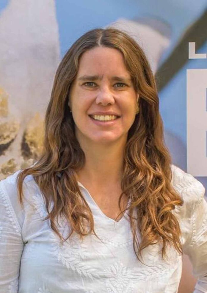 Día mundial del medioambiente Día mundial del medioambiente