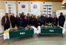 Director nacional de INIA Carlos Furche: "INIA Remehue está a la vanguardia en sustentabilidad agrícola y pecuaria” 