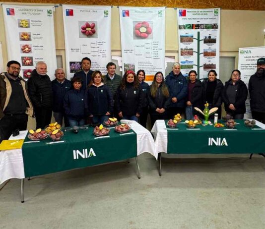 Director nacional de INIA Carlos Furche: «INIA Remehue está a la vanguardia en sustentabilidad agrícola y pecuaria” Director nacional de INIA Carlos Furche: "INIA Remehue está a la vanguardia en sustentabilidad agrícola y pecuaria”