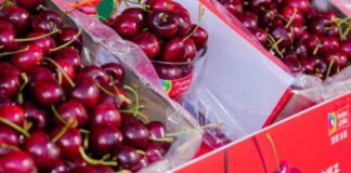 El dilema de la cereza chilena