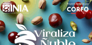 Encuentro internacional “Viraliza Ñuble” proyecta a la Región como nuevo polo frutícola de Chile