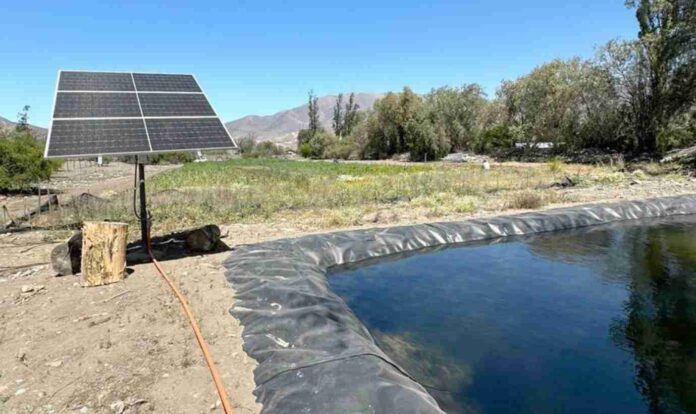 Energía fotovoltaica 81 productores transforman su forma de regar Energía fotovoltaica: 81 productores transforman su forma de regar