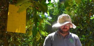 Expertos nacionales presentan alternativas sostenibles para el manejo integrado de insectos