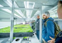 Inauguran sistema que produce hortalizas todo el año con bajo consumo hídrico