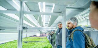 Inauguran sistema que produce hortalizas todo el año con bajo consumo hídrico