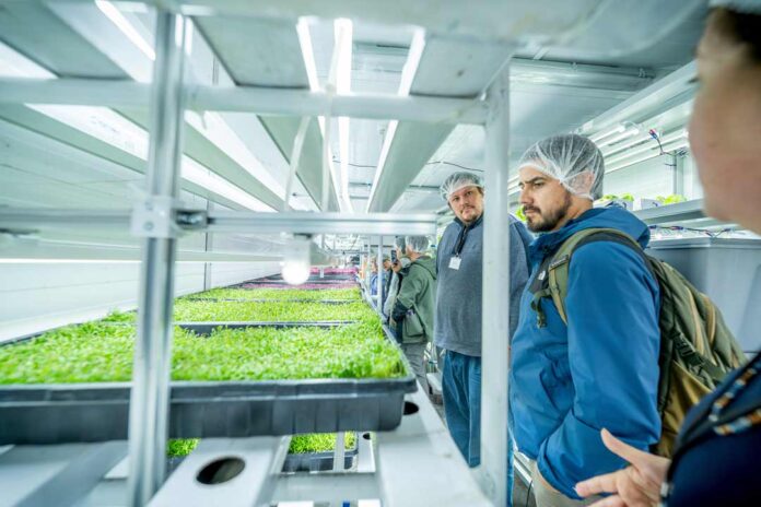 Inauguran sistema que produce hortalizas todo el año con bajo consumo hídrico