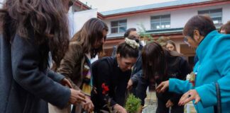 Inauguran tres nuevos Patio Vivo Cultivable en liceos técnico-profesionales de la Región de Los Lagos