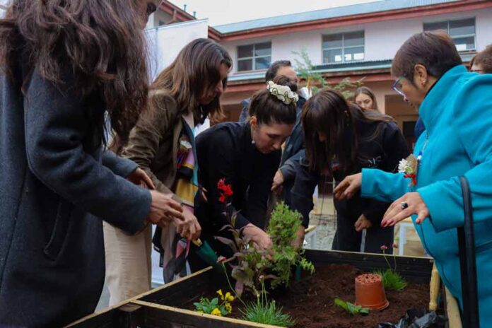 Inauguran tres nuevos Patio Vivo Cultivable en liceos técnico-profesionales de la Región de Los Lagos Inauguran tres nuevos Patio Vivo Cultivable en liceos técnico-profesionales de la Región de Los Lagos