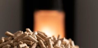 Investigadores de la UTalca crearán sello que certificará la calidad de pellets