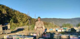 Marcelo Rodríguez, el apicultor chileno que transforma el bosque y es reconocido por FAO a nivel mundial