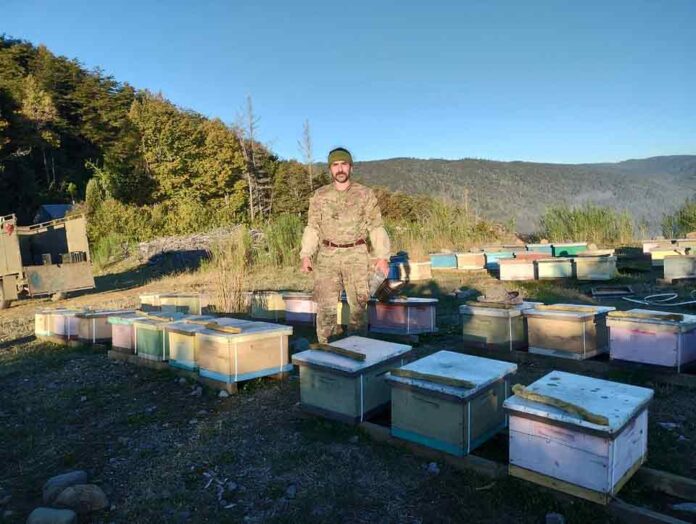 Marcelo Rodríguez, el apicultor chileno que transforma el bosque y es reconocido por FAO a nivel mundial