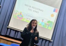 Mesa del vino abordó medidas para apoyar trabajo de viñateros en la región del Biobío