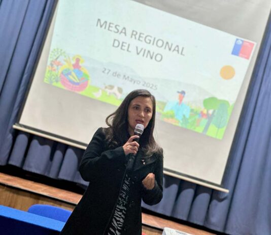 Mesa del vino abordó medidas para apoyar trabajo de viñateros en la región del Biobío