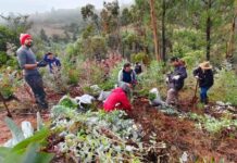 Ministerio del Medio Ambiente, CONAF y FAO invitan a sumar iniciativas de restauración en nuevo registro nacional