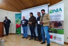 Nueva publicación de INIA destaca oportunidades para potenciar el mercado nacional de legumbres https://portalagrochile.cl/2025/05/27/inia-chile-impulsa-cooperacion-cientifica-en-taller-de-fontagro-realizado-en-estados-unidos/