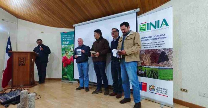 Nueva publicación de INIA destaca oportunidades para potenciar el mercado nacional de legumbres https://portalagrochile.cl/2025/05/27/inia-chile-impulsa-cooperacion-cientifica-en-taller-de-fontagro-realizado-en-estados-unidos/