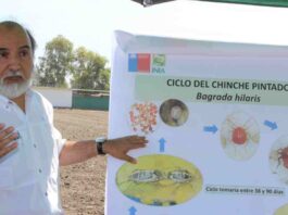 Premian a Ernesto Cisternas por 40 años de legado en protección vegetal 