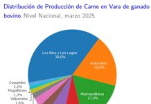 Producción de carne en vara de ganado bovino de la Región del Biobío presentó una disminución interanual de 4,6% en marzo de 2025
