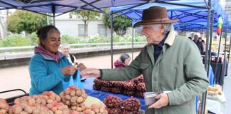 Productores destacaron apertura de nuevos productos en feria campesina de Concepción
