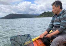 Proyectan continuidad de la acuicultura de pequeña escala en Los Ríos tras cierre de proyecto