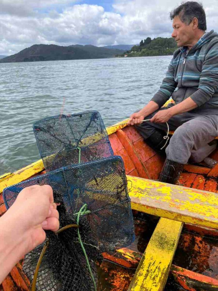 Proyectan continuidad de la acuicultura de pequeña escala en Los Ríos tras cierre de proyecto (1) Proyectan continuidad de la acuicultura de pequeña escala en Los Ríos tras cierre de proyecto