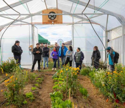Proyecto impulsa invernaderos para fortalecer el cultivo de hortalizas