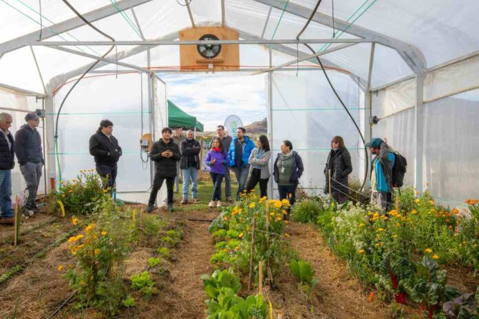 Proyecto impulsa invernaderos para fortalecer el cultivo de hortalizas