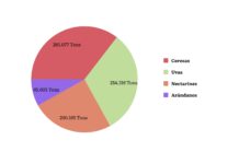 Puerto Valparaíso finaliza temporada alta de exportación de fruta con un 21,7% más de envíos que el año pasado