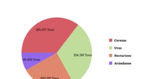 Puerto Valparaíso finaliza temporada alta de exportación de fruta con un 21,7% más de envíos que el año pasado