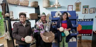 Rayen Voygüe mujeres mapuches difunden su cultura en flamante tienda de Cañete