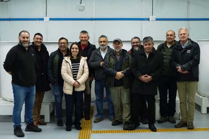 Región de Los Lagos: aumentan infraestructura para la producción de semillas de ostra japonesa