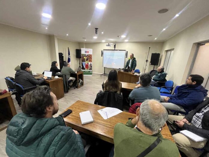 SAG Biobío realiza taller sobre importación de granos SAG Biobío realiza taller sobre importación de granos