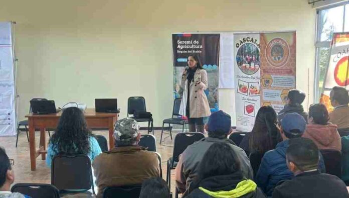 Seminario abordó importancia de la formalización para ingresar a mercados internacionales del sector apícola Seminario abordó importancia de la formalización para ingresar a mercados internacionales del sector apícola