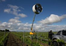 Control de Heladas en Frutales: Tecnología de Punta y Financiamiento Flexible con ZIMAQ ZIMAQ, empresa del Grupo Zimex, inicia la Temporada de Control de Heladas en Frutales