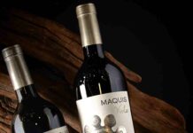 The Wine Advocate deja al vino chileno Viola 2021 como el mejor Carménère del mundo