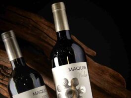 The Wine Advocate deja al vino chileno Viola 2021 como el mejor Carménère del mundo The Wine Advocate deja al vino chileno Viola 2021 como el mejor Carménère del mundo