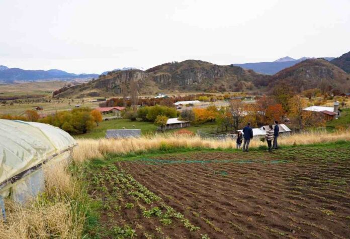 “Tierras Vivas” Bienes Nacionales e INDAP reducen en 50% el arriendo de terrenos fiscales a agricultores “Tierras Vivas”: Bienes Nacionales e INDAP reducen en 50% el arriendo de terrenos fiscales a agricultores