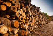 Transformando residuos en recursos liderazgo en el cambio hacia la sostenibilidad industrial en Chile