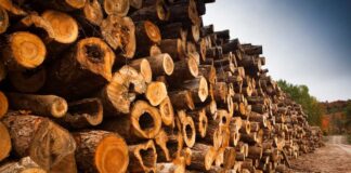 Transformando residuos en recursos liderazgo en el cambio hacia la sostenibilidad industrial en Chile