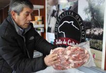 Cooperativas de artesanas textiles y productores ovinos apoyadas por INDAP reciben Sello de Origen otorgado por INAPI