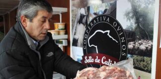 Cooperativas de artesanas textiles y productores ovinos apoyadas por INDAP reciben Sello de Origen otorgado por INAPI