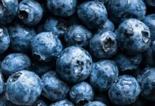 Perú generó cuatro veces más ingresos que Chile en las exportaciones de arándanos el 2024