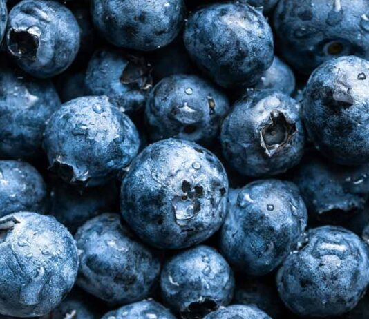 Perú generó cuatro veces más ingresos que Chile en las exportaciones de arándanos el 2024