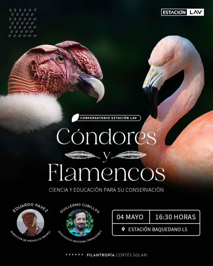 Estación LAV de Metro: Expertos abordan protección de cóndores y flamencos en Chile