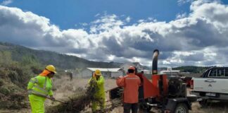 Programa de Emergencia de Empleo genera trabajo con enfoque ambiental en 142 comunas del país